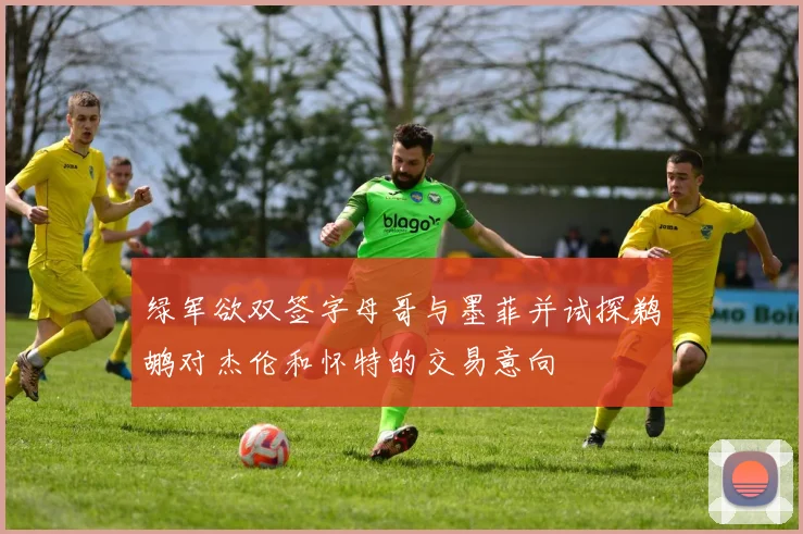 绿军欲双签字母哥与墨菲并试探鹈鹕对杰伦和怀特的交易意向